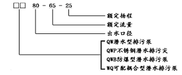 大東海泵業(yè)WQ潛水無堵塞排污泵型號意義