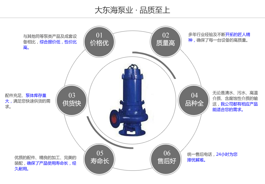 大東海泵業(yè)潛水式排污泵質(zhì)量保證圖