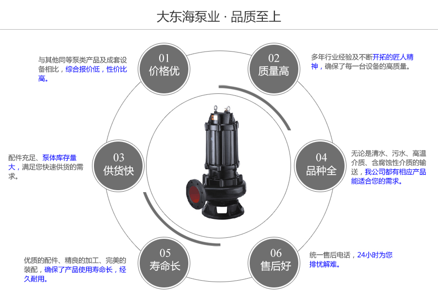 大東海泵業(yè)WQ污水泵質(zhì)量保證圖